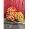 Filet de pommes de terres Maryline 10kg