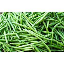 Haricots verts FRAIS