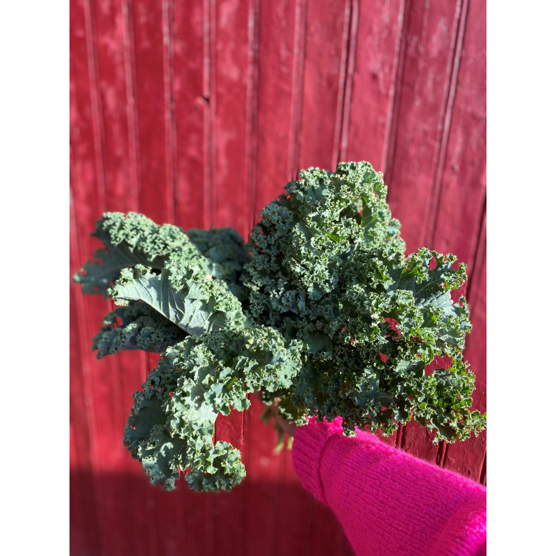 Chou kale